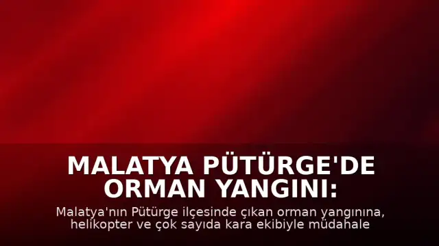 Malatya Pütürge'de Orman Yangını: Ekiplerin Müdahalesi Sürüyor