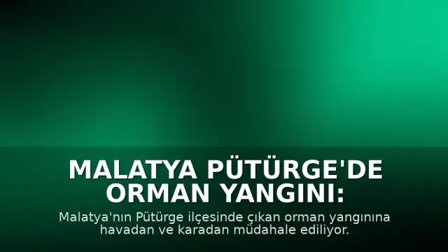 Malatya Pütürge'de Orman Yangını: Müdahale Devam Ediyor