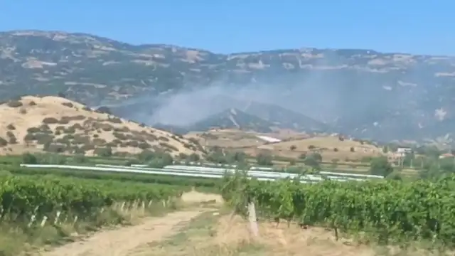Manisa Sarıgöl'de maki yangını ormanlık alana yayıldı