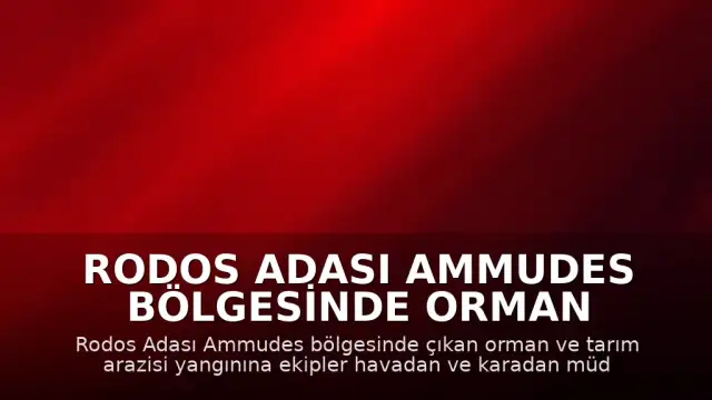 Rodos Adası Ammudes Bölgesinde Orman Yangını Meydana Geldi