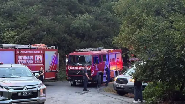 Sarıyer Kocataş Mahallesi'nde Orman Yangını: 1 İtfaiye Eri Yaralandı