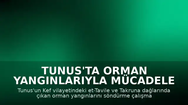 Tunus'ta Orman Yangınlarıyla Mücadele Sürüyor