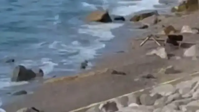 Zonguldak Filyos Sahili'nde Askeri İHA Bulundu: Geniş Güvenlik Önlemi Alındı