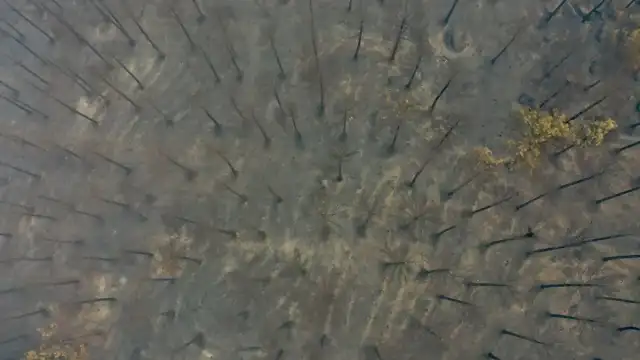 Aydın'ın Çine İlçesindeki Ormanlık Alanda Yangın Sonrası Durum Havadan Görüntülendi
