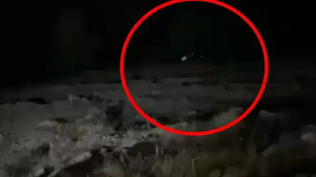 Bingöl'de Hafif Ticari Araç Uçuruma Yuvarlandı: 4 Ölü, 5 Yaralı