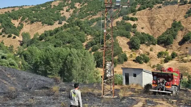 Bingöl'ün Genç İlçesinde Ormanlık Alanda Çıkan Yangın Söndürüldü