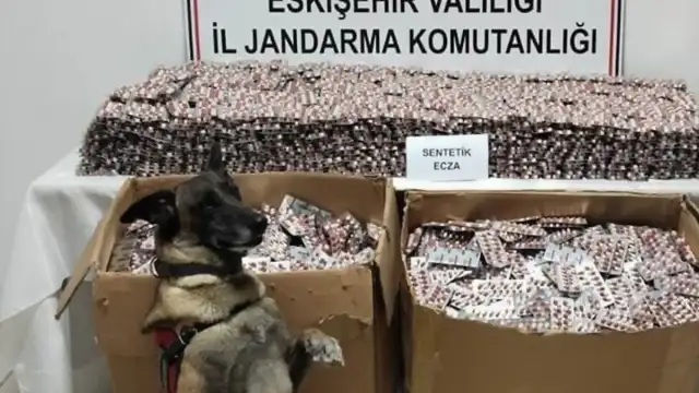 Eskişehir'de 84 Bin Sentetik Ecza Hapı Ele Geçirildi: 3 Kişi Tutuklandı