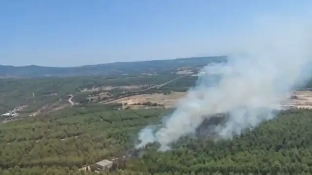 İzmir'in Buca İlçesinde Orman Yangınına Müdahale Ediliyor
