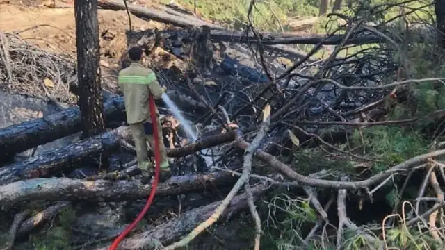 Muğla'nın Ula İlçesinde Orman Yangını Büyümeden Söndürüldü