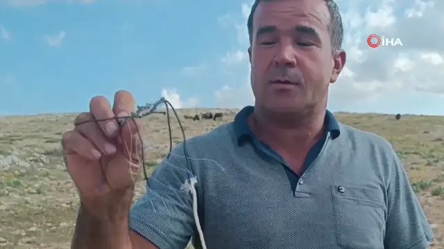 Toroslar'da Şahin Tuzağına Düşen Güvercin Duyarlı Vatandaşlarca Kurtarıldı