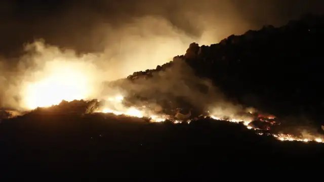 Bodrum'da Makilik Alanda Yangın: Ekipler Seferber Oldu