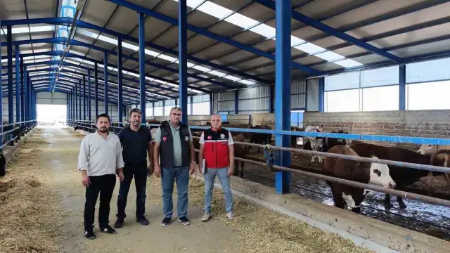 Konya Karapınar'da İthal Besilik Sığır Denetimleri Yoğunlaştı