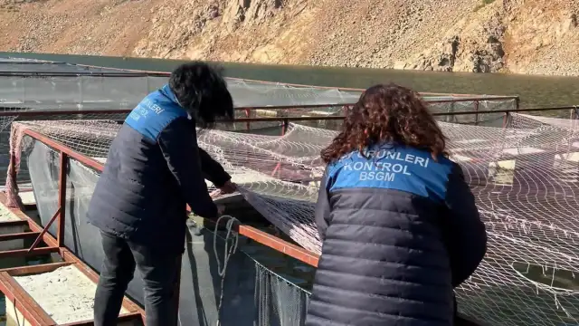 Ordu Mesudiye'de Alabalık Tesisleri Denetlendi: Kasım Ayında Nakil Başlayacak