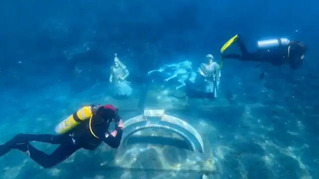 Saros Körfezi'ndeki Yapay Resiflere Ahtapot ve Kalamar Yumurtladı