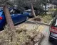 Ankara'da Şiddetli Rüzgar: Ağaçlar Devrildi, Uçan Çatılar Hasara Yol Açtı