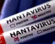 Hantavirüs Endişesi: Arjantin'den Gelen 3 Türk Vatandaşı Karantinaya Alındı