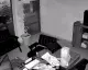 İş Yeri Önündeki Saksıdan Çiçekler Kimliği Belirsiz Kişi Tarafından Sökülerek Çalındı