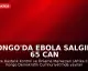 Kongo'da Ebola Salgını: 65 Can Kaybı Bildirildi
