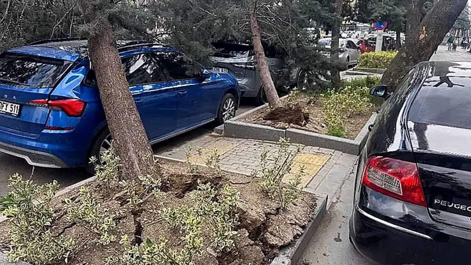 Ankara'da Şiddetli Rüzgar: Ağaçlar Devrildi, Uçan Çatılar Hasara Yol Açtı
