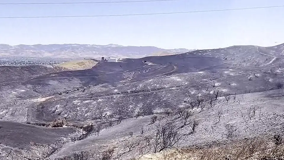 Kaliforniya'da Günlerdir Süren Orman Yangını Kontrol Altına Alınamıyor