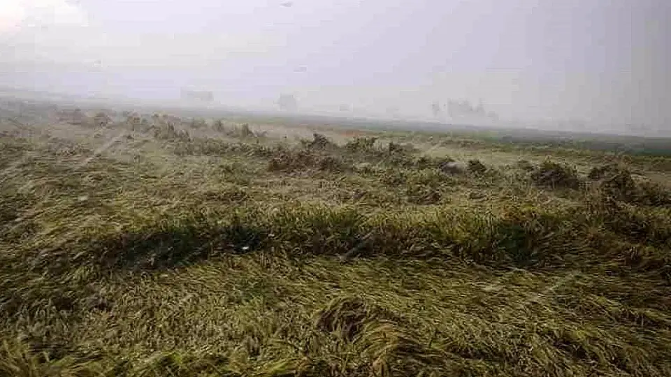 Osmaniye'de Sağanak Nedeniyle Evinde Mahsur Kalan Yaşlı Kadın Kurtarıldı