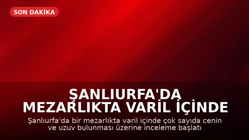 Şanlıurfa'da Mezarlıkta Varil İçinde Cenin Bulundu