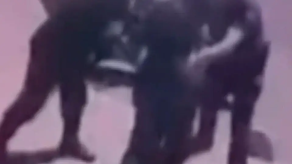 Tekirdağ'da Polisi Şehit Eden Saldırgan Yakalandı