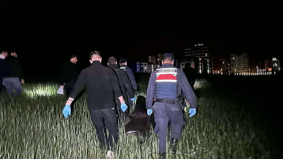 Uşak'ta Yaşlı Adamı Tarlada Öldüren Şüpheli Yakalandı