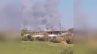 Beykoz'da Orman Yangını: Müdahale Sürüyor