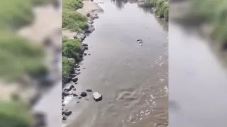 Mahmut Tanal'dan Eyyübiye İddiası: Atık Sular Tarım Alanlarına Karışıyor