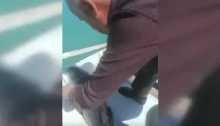 Sinop'ta Balıkçı Ağına Takılan Yunus Yavrusu Kurtarıldı