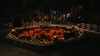 Survivor'da Serenay diskalifiye oldu