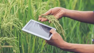 Tarımda Dijital Dönüşüm: Verimlilik Artıyor, Maliyetler Düşüyor