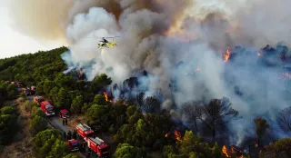 Muğla Marmaris'te Orman Yangını: Ekipler Sevk Edildi