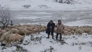 Tipi ve Heyelan Nedeniyle 2 Çoban ve 650 Küçükbaş Hayvan Yaylada Mahsur Kaldı