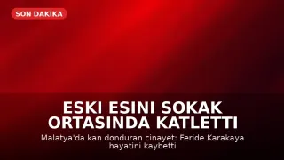 Malatya'da Eski Eş Cinayeti: H.K. Eski Eşi F.K.'yı Sokak Ortasında Tüfekle Vurdu