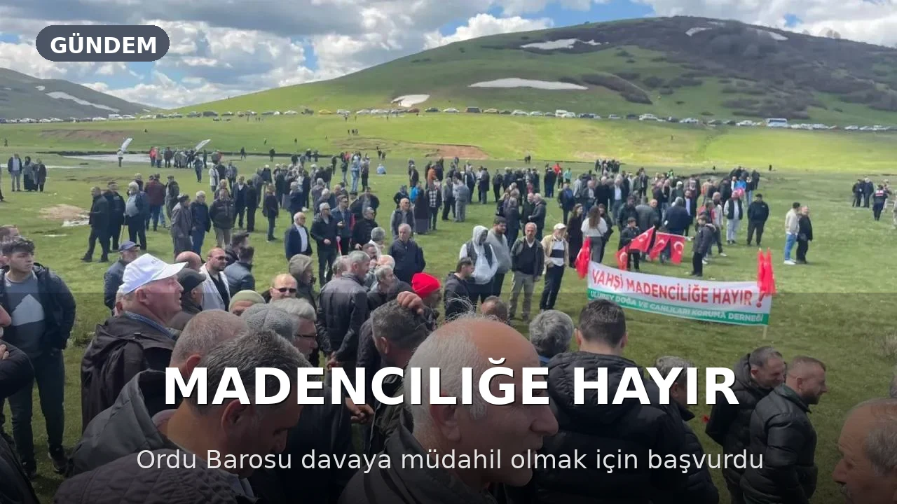 Ordu Barosu, Perşembe Yaylası Maden Davasına Müdahil Olmak İçin Başvuruda Bulundu